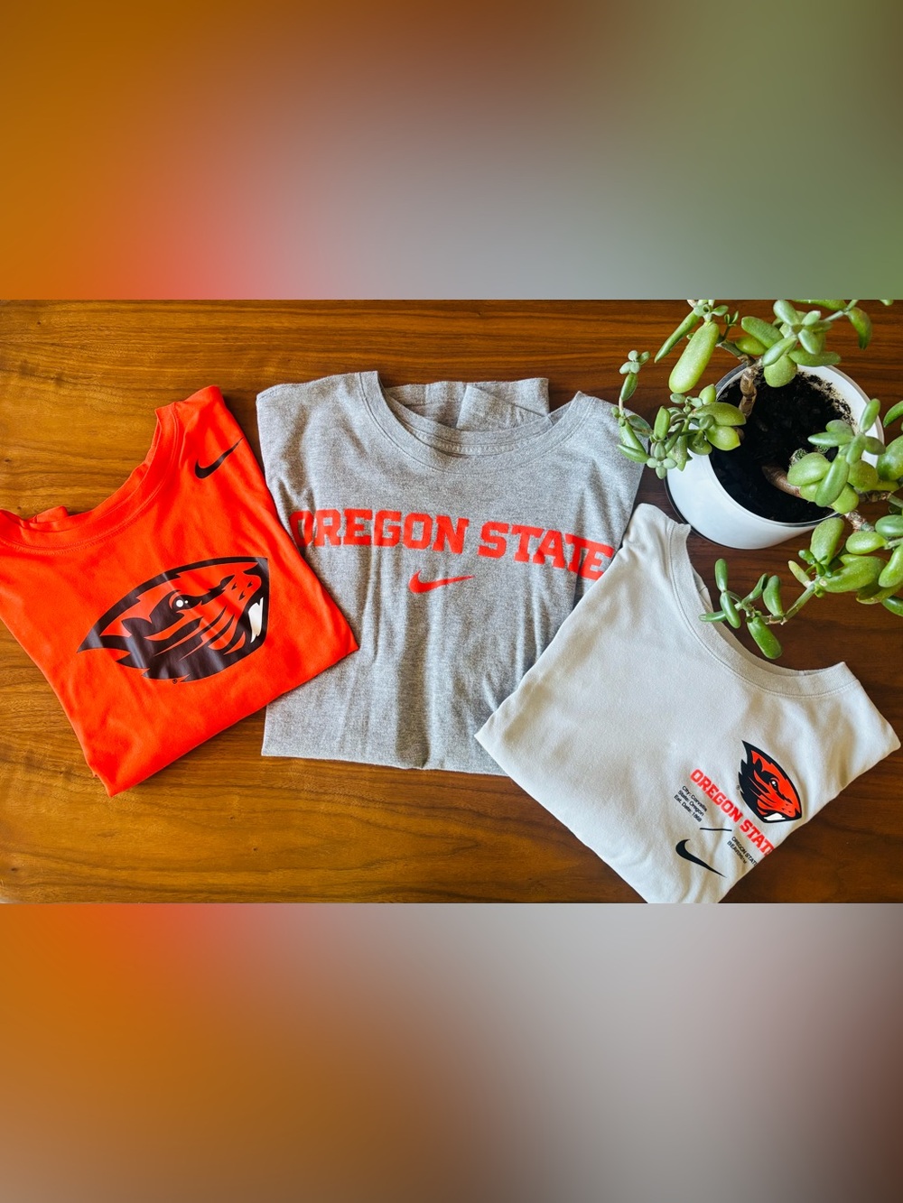 Set of 3 Oregon State t-shirts Men’s XL 🧡🖤🦫